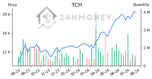 TCH: CTCP Đầu tư Dịch vụ Tài chính Hoàng Huy | Tổng quan | 24HMoney