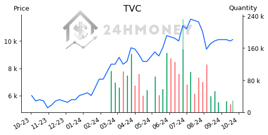 TVC: Bảng báo cáo tài chính chi tiết - tải báo cáo tài chính | 24HMoney